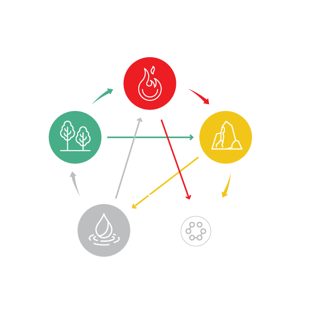 5 elementi revital