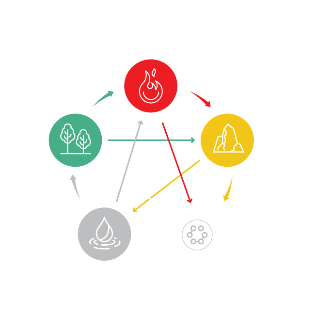 5 elementi revital