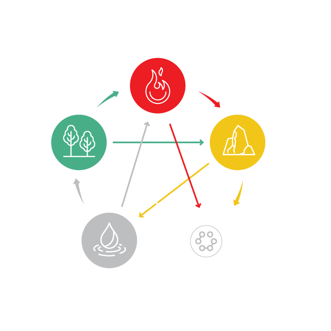 5 elementi revital