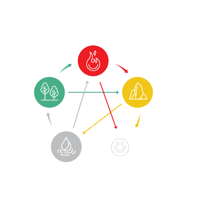 5 elementi revital