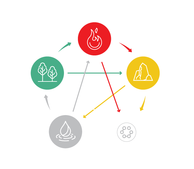 5 elementi revital