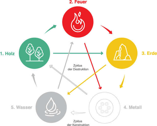 5 elementi revital